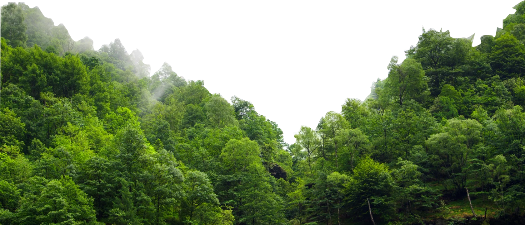 Изображение Био-генерация