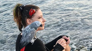 Изображение Анастасия Ходакова